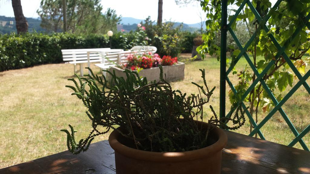 Agriturismo Il Catrino Ponteginori Extérieur photo