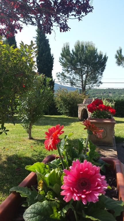Agriturismo Il Catrino Ponteginori Extérieur photo