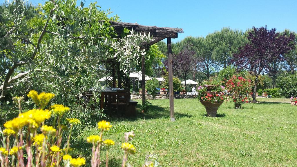 Agriturismo Il Catrino Ponteginori Extérieur photo