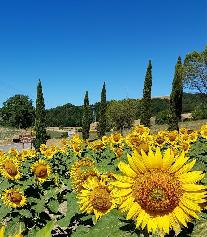 Agriturismo Il Catrino Ponteginori Extérieur photo