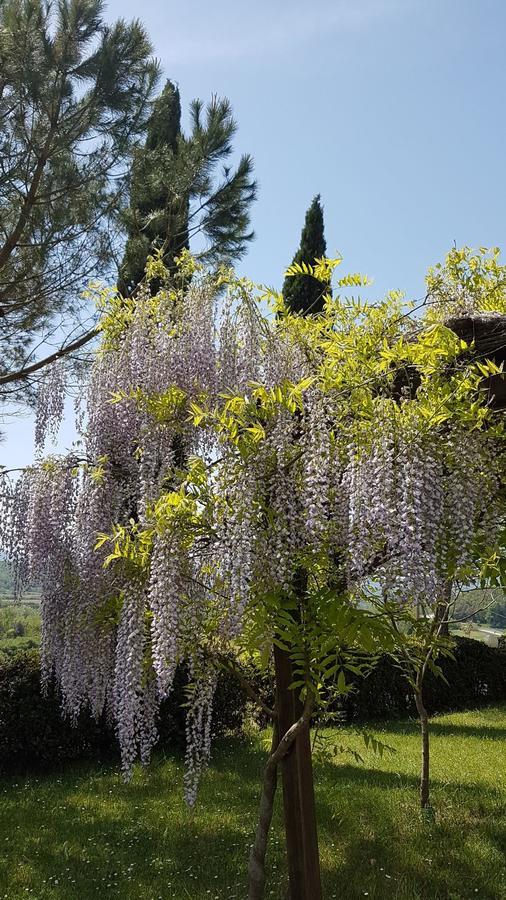 Agriturismo Il Catrino Ponteginori Extérieur photo