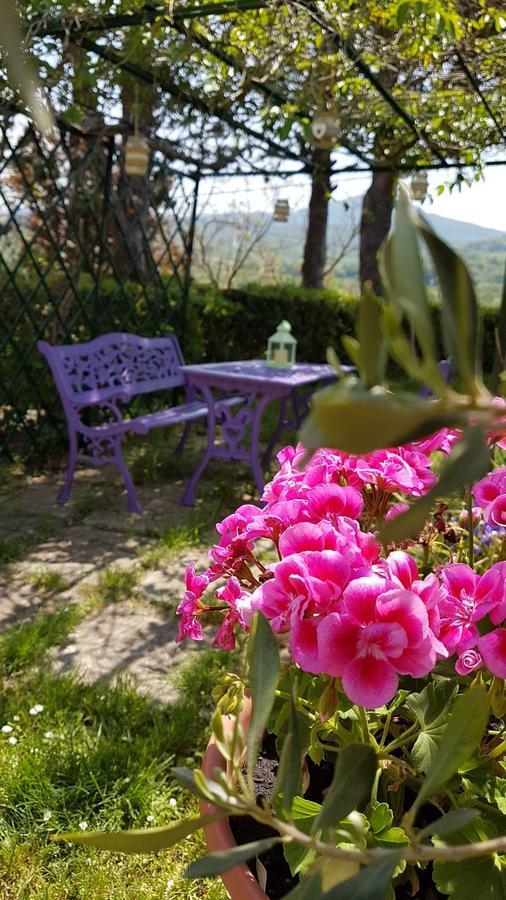 Agriturismo Il Catrino Ponteginori Extérieur photo