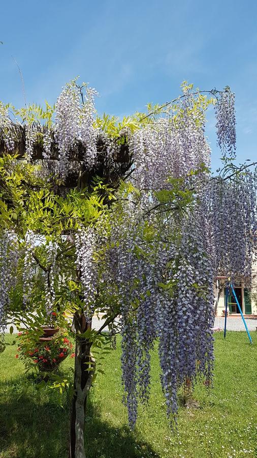 Agriturismo Il Catrino Ponteginori Extérieur photo